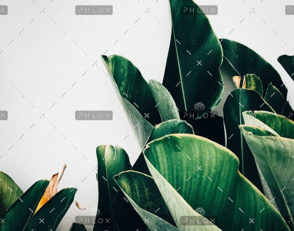 demo-attachment-385-kiki-siepel-787802-unsplash
